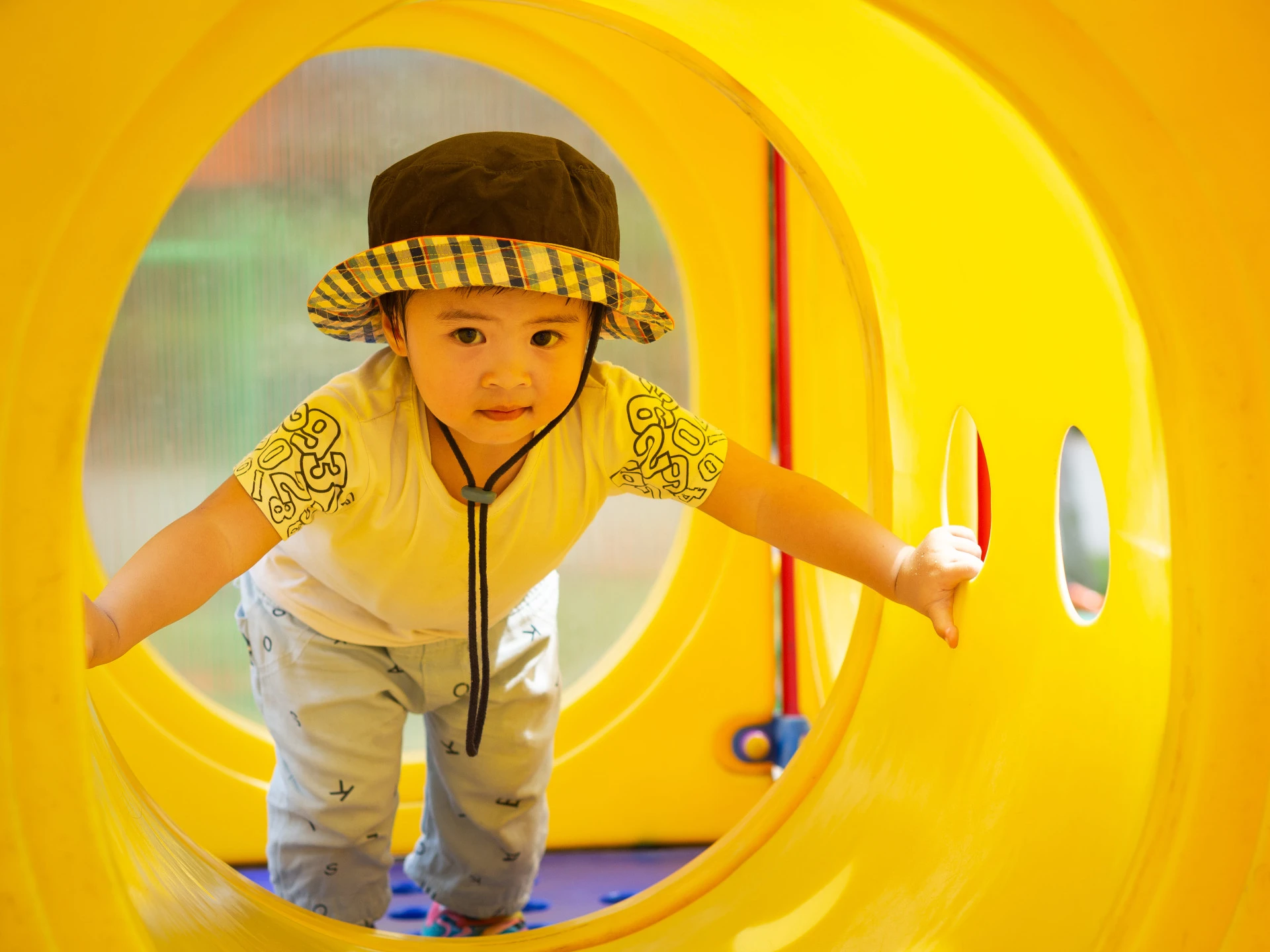 Khu công nghệ Venus Land